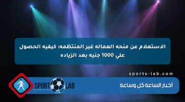 الاستعلام عن منحة العمالة غير المنتظمة: كيفية الحصول على 1000 جنيه بعد الزيادة